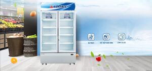 Tủ Mát ALaska Inverter 1000 Lít 2 Cánh LCI-1000C
