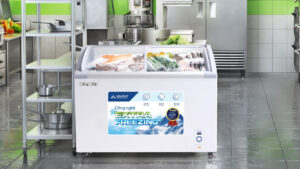 Tủ Đông Hòa Phát 451 Lít 1 Ngăn 2 Cánh HSF AD6451.C1