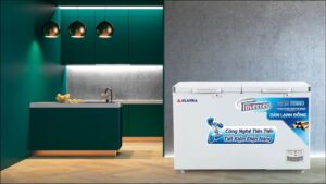 Tủ Đông Alaska Inverter BCD-4568CI 2 Ngăn 2 Cánh 282 Lít