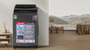 Máy Giặt Sharp Inverter 11Kg ES-TM110CD-DS
