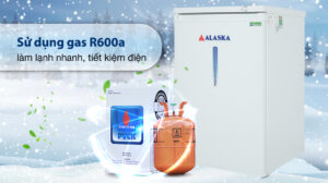 Tủ Đông Đứng Alaska IF-11 1 Cánh 100 Lít