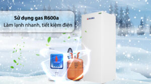 Tủ Đông Alaska 210 Lít IF-21