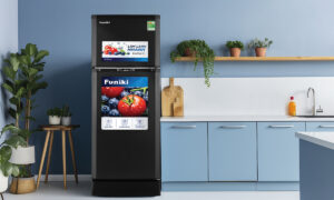 Tủ Lạnh Funiki Inverter HR T8209TDG 2 Cánh 209 Lít