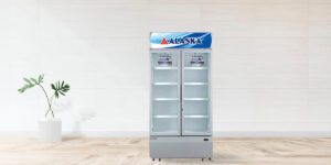 Tủ Mát ALaska 600 Lít 2 Cánh LC-600C