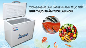 Tủ Đông Alaska Dàn Nhôm BD-300 1 Ngăn Đông 300 Lít
