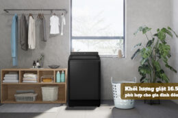 Máy giặt Panasonic NA-FD165V3BV 16.5kg: Khối lượng giặt lớn, giặt sạch hiệu quả