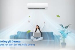 Điều hòa Daikin 24000BTU FTHF71VAVMV: Mang tới cuộc sống dễ chịu quanh năm
