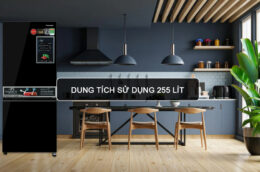 Những lý do khiến tủ lạnh Panasonic NR-BV281BGMV 255 lít được ưa chuộng