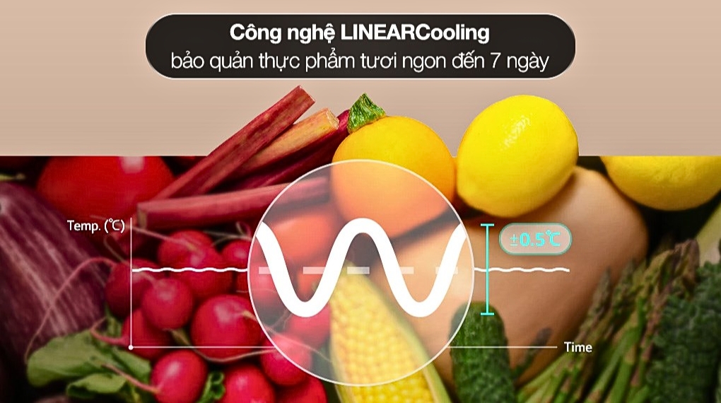 Tủ lạnh LG LFB58BLMA dung tích lớn, thoải mái lưu trữ thực phẩm