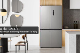 Tủ lạnh LG LFB47SVM 474L: Lựa chọn tuyệt vời cho gia đình đông người