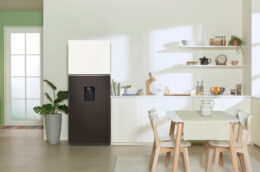 Tủ lạnh Samsung RT42CB6784C3SV BESPOKE có những ưu, nhược điểm gì?