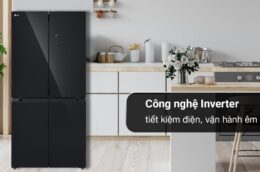 Đánh giá ưu, nhược điểm của tủ lạnh LG LFB47BLG 474 lít