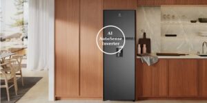 Tủ Lạnh Electrolux Inverter 2 Cánh 341 Lít ETM3440L-B