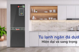 Tủ lạnh Panasonic NR-BC361VGMV: Lựa chọn tuyệt vời cho gia đình Việt