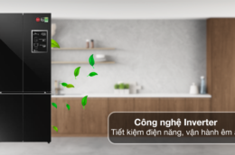 Tủ lạnh Panasonic NR-X561BK-VN có những ưu điểm và hạn chế gì?