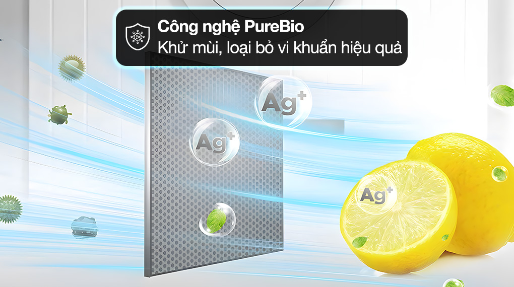 Tủ lạnh Toshiba GR-RT329WE-PMV(52) bảo quản thực phẩm tươi ngon, trọn dưỡng chất