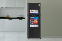 3 lý do tủ lạnh Funiki HR T8209TDG 209 lít được ưa chuộng