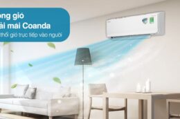 Điều hòa Daikin FTHF71VAVMV 2400BTU: Lựa chọn cho không gian rộng lớn