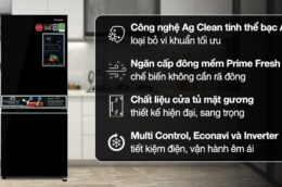 Đánh giá tủ lạnh Panasonic 255 Lít NR-BV281BGMV: Có đáng mua không?