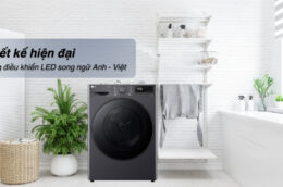 Máy sấy LG DVHP50M 10.5kg: Ưu, nhược điểm cần cân nhắc trước khi chọn mua