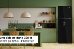 Tủ lạnh Aqua AQR-T380FA(WGB): Giá thành rẻ, bảo quản hiệu quả