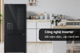 Tủ lạnh LG LFD61BLGAI 612 lít - Ưu nhược điểm người dùng cần biết