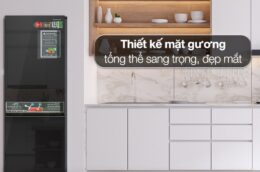 Tủ lạnh ngăn đá dưới giá rẻ nên chọn mua mẫu nào tốt?