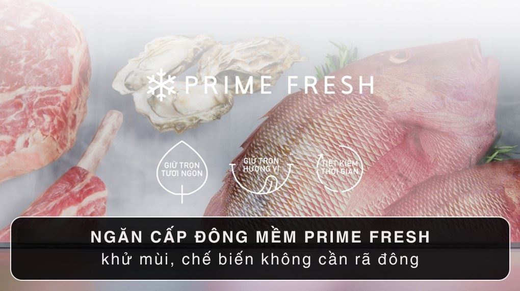 Đánh giá khả năng bảo quản của tủ lạnh Panasonic 255 Lít NR-BV281BGMV