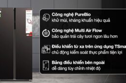Tủ lạnh Toshiba GR-RS600WI-PMV(37)-SG có những ưu điểm và hạn chế gì?