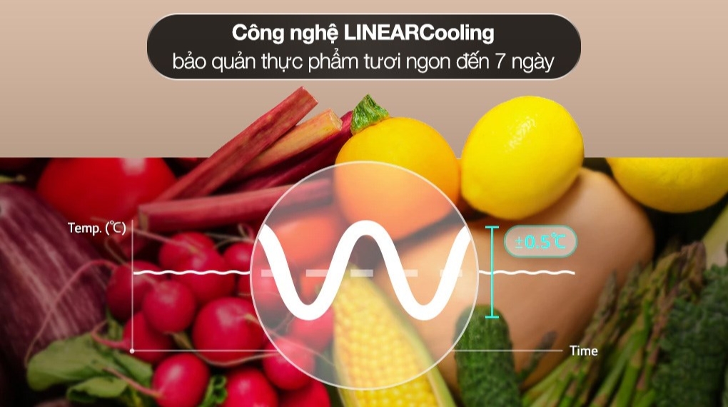 Tủ lạnh LG LTB26BLM 263 Lít bảo quản thực phẩm hiệu quả
