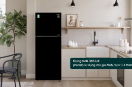 Ưu điểm nổi trội của tủ lạnh Samsung RT38CB668422SV Inverter