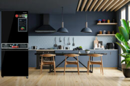 Khám phá ưu điểm và hạn chế của tủ lạnh Panasonic NR-BV281BGMV 255 lít