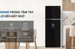 Đánh giá khả năng bảo quản, tiết kiệm điện của tủ lạnh Aqua AQR-T380FA(WGB) 328 lít 