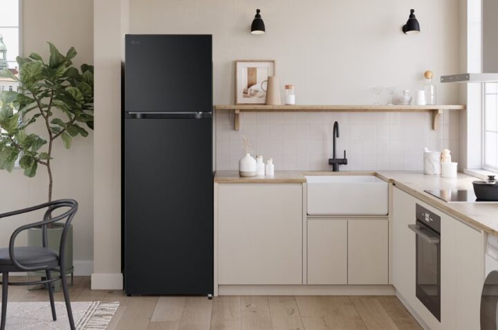Tủ lạnh LG LTB26BLM 263 lít có những ưu, nhược điểm gì?