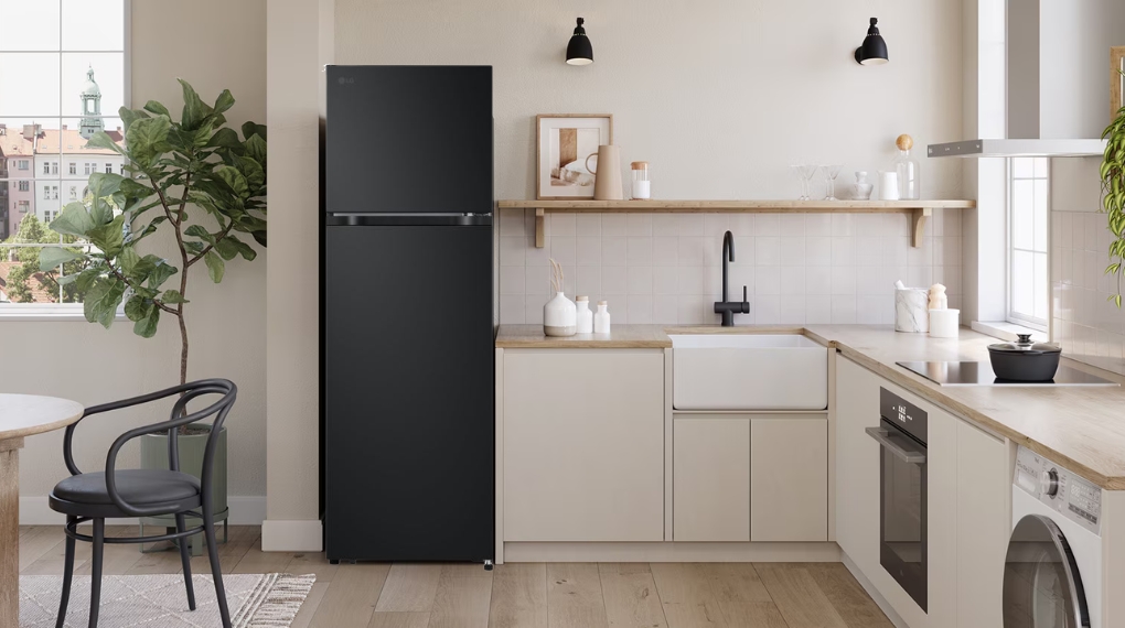 Ưu điểm nổi bật của tủ lạnh LG LTB26BLM 263 lít