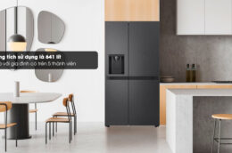 Tủ lạnh LG LSI63BLMA Inverter 641 lít: Giải pháp lưu trữ thực phẩm tối ưu