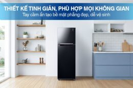 Có nên mua tủ lạnh Samsung RT25M4032BU/SV 256 Lít trong phân khúc tầm trung?