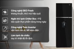 Khám phá ưu điểm vượt trội của tủ lạnh Aqua AQR-T410FA(WGB) 358 Lít