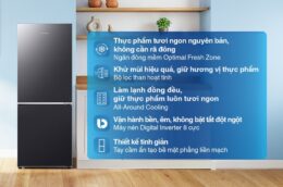 Những lý do khiến tủ lạnh Samsung RB27N4020B1/SV 285 lít đáng mua hiện nay