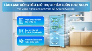 Tủ Lạnh Samsung Inverter RB30N4190B1/SV 2 Cánh 307 Lít