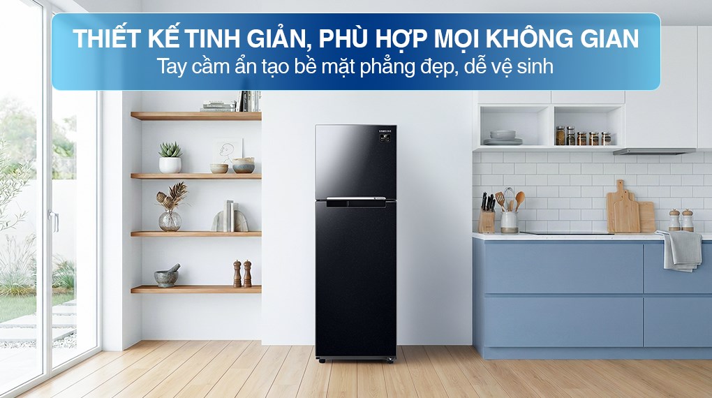 tủ lạnh Samsung RT25M4032BU/SV 256 Lít thiết kế đẹp mắt