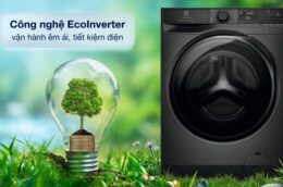 Có nên mua máy giặt Electrolux 11Kg EWF1143P5SC? Những điều cần biết trước khi chọn