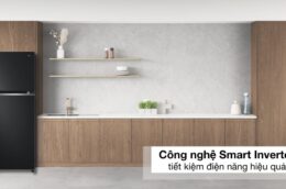 Tủ lạnh LG LTB31BLM 315 lít có tốt không? Đánh giá chi tiết từ A đến Z