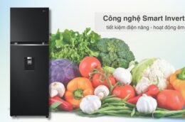 Đánh giá khả năng bảo quản thực phẩm của tủ lạnh LG LTD33BLM 334 lít