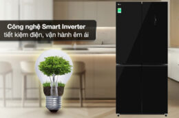 Tủ lạnh LG 502 Lít F50BG: Giải pháp bảo quản thực phẩm hiện đại cho gia đình