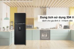 Lý do nên lựa chọn tủ lạnh LG LTD33BLM Inverter cho gia đình