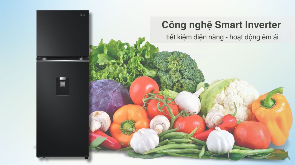 Tủ lạnh LG LTD33BLM Inverter bảo quản thực phẩm tươi ngon, tiết kiệm điện hiệu quả