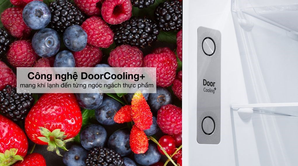 Tủ lạnh LG F58BGD 571 Lít bảo quản thực phẩm hiệu quả, tiết kiệm thời gian đi chợ nhờ dung tích lớn