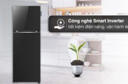 Tủ lạnh LG 461 Lít LTB46BLG: Dung tích lớn, bảo quản thực phẩm hiệu quả