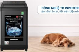 Máy giặt Panasonic NA-FD115W3BV 11.5kg: Lựa chọn lý tưởng cho gia đình đông người